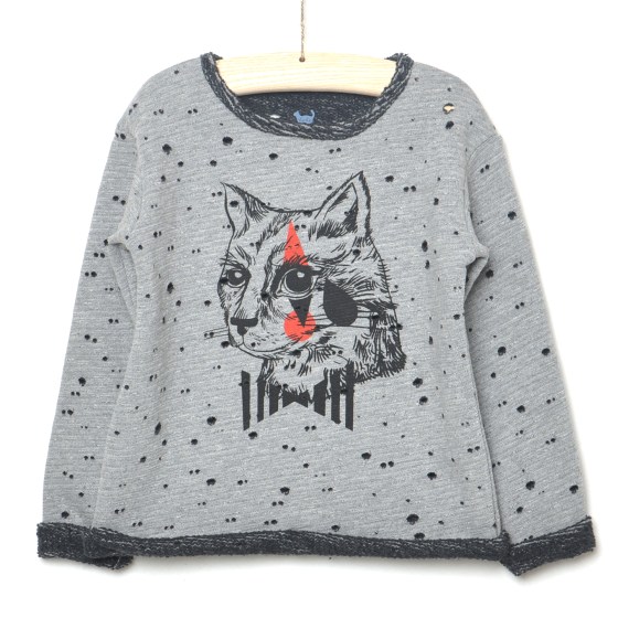 Hebe cat top